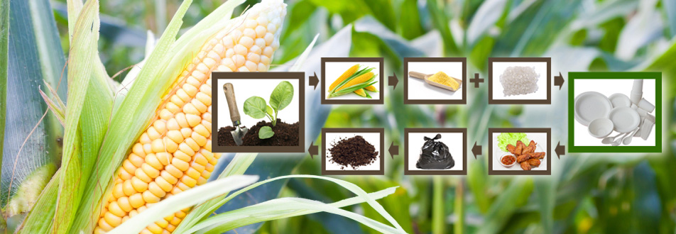 有人問我到底什么是全生物降解材料？