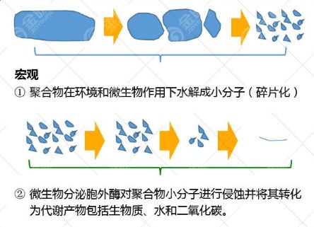 PLA是如何做到可降解的？
