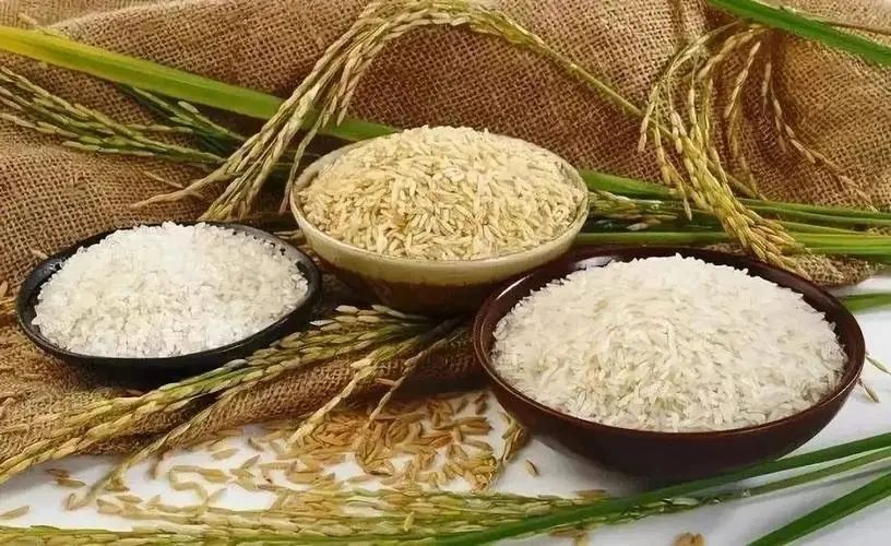“生物基”“生物降解”分不清？名字相似，其實大不相同