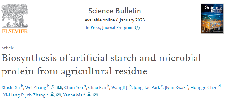 重磅！我國科學(xué)家用玉米秸稈，生物合成人工淀粉！
