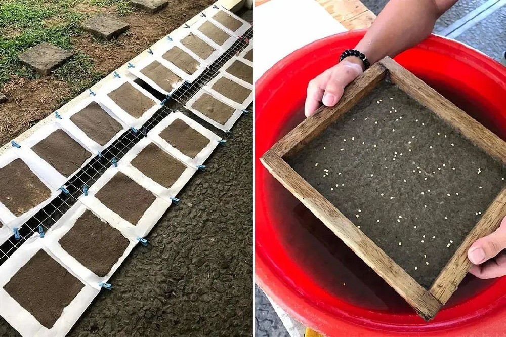 環(huán)保包裝新材料：生物基，純天然降解材料（上）
