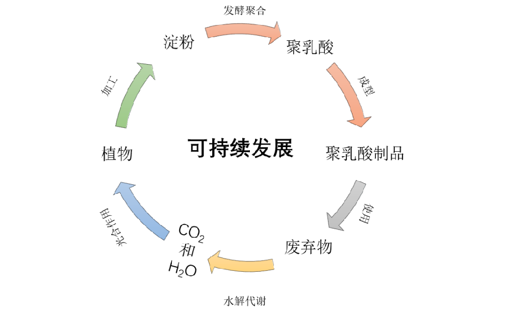 日本首次，100%聚乳酸長(zhǎng)絲商業(yè)化應(yīng)用