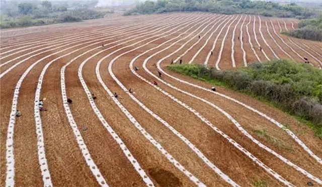 工信部 發(fā)改委 商務部發(fā)文：開展全生物降解地膜達標行動、培育壯大生物制造新增長點