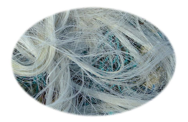工信部等四部門印發(fā)紡織工業(yè)提質(zhì)升級(jí)方案，加強(qiáng)聚乳酸纖維等關(guān)鍵技術(shù)突破，增強(qiáng)生物基等綠色紡織品認(rèn)證