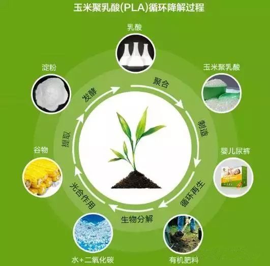 連PLA材質(zhì)都禁止？看看臺灣的禁塑措施